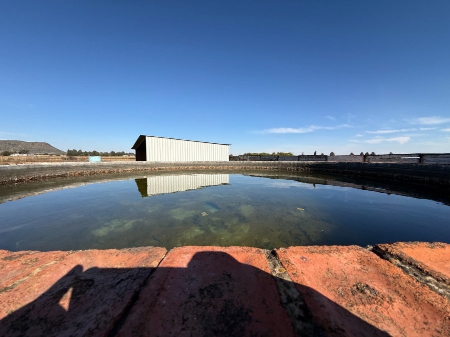 Commercial Property for Sale in Bloemdal Free State